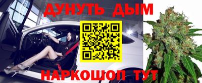 дживик Кингисепп