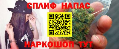 трава Кимры