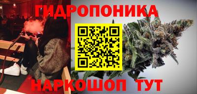 трава Кимры