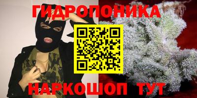 дживик Кингисепп