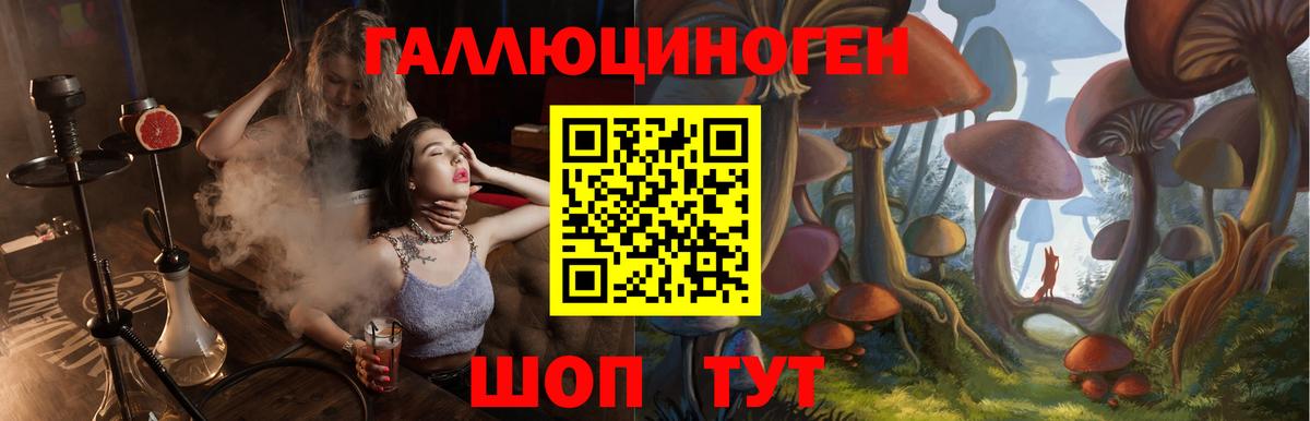 Кулебаки  Псилоцибиновые грибы мухоморы  Вход с VPN 